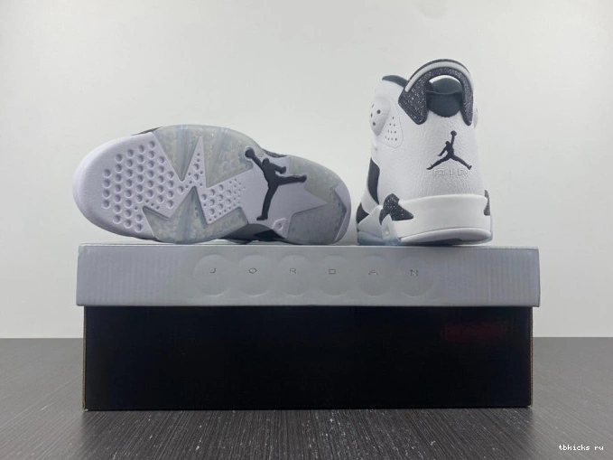 Cheap TB 6 Jordan 384664-101 Oreo Retro 0718